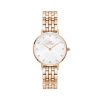 Daniel Wellington Petite 5-link Melrose