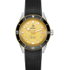 Rado Captain Cook 39 mm - R32223258